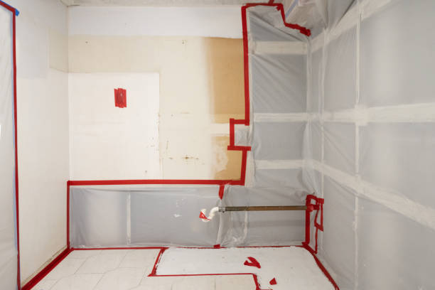 Best Mold Documentation for Insurance Claims  in South Apopka, FL