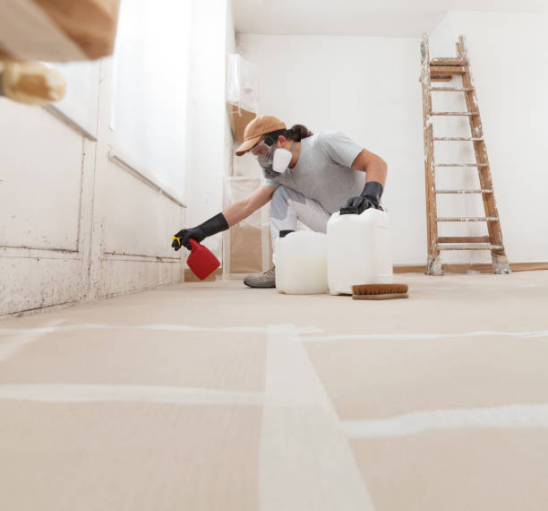 Best Forensic Mold Investigation  in South Apopka, FL