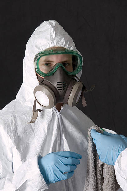Environmental Consulting for Mold Prevention in South Apopka, FL
